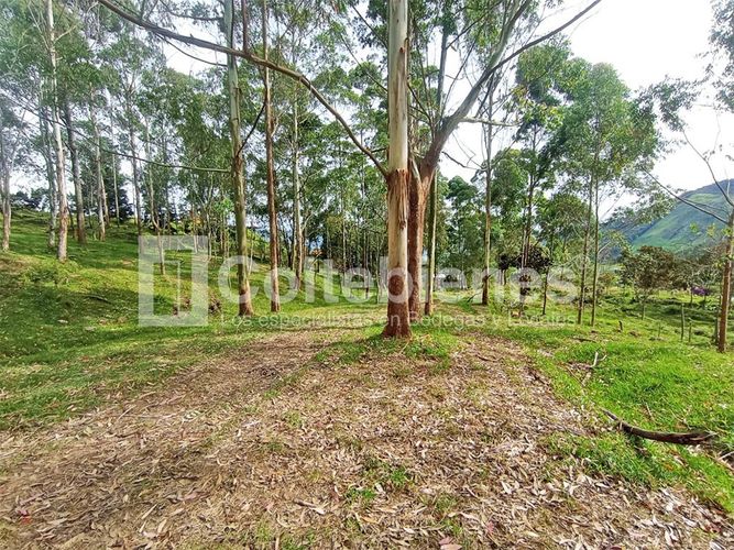 Lote en venta en Machado, Copacabana · foto 5 de 24