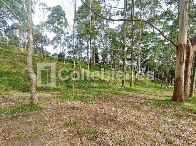 Lote en venta en Machado, Copacabana · foto 7 de 24