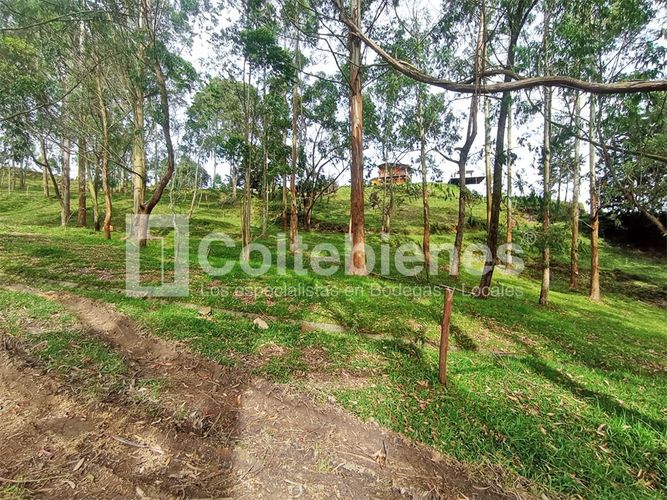 Lote en venta en Machado, Copacabana · foto 14 de 24