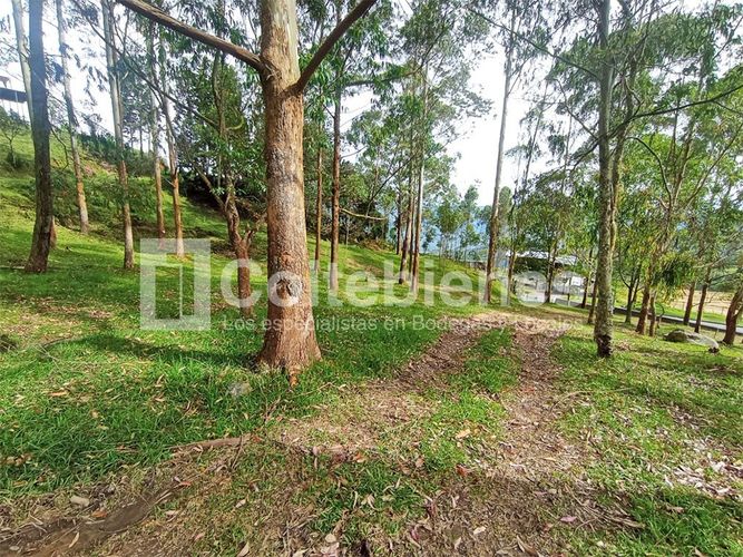 Lote en venta en Machado, Copacabana · foto 15 de 24