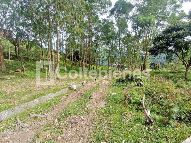 Lote en venta en Machado, Copacabana · foto 16 de 24