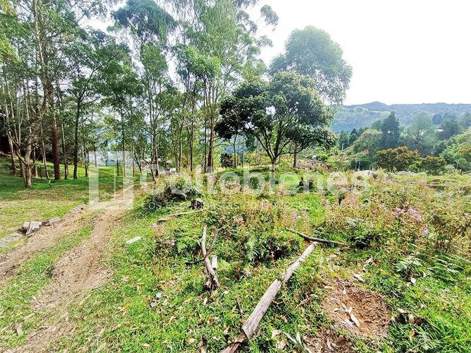 Lote en venta en Machado, Copacabana · foto 17 de 24