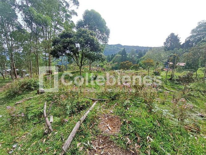 Lote en venta en Machado, Copacabana · foto 18 de 24