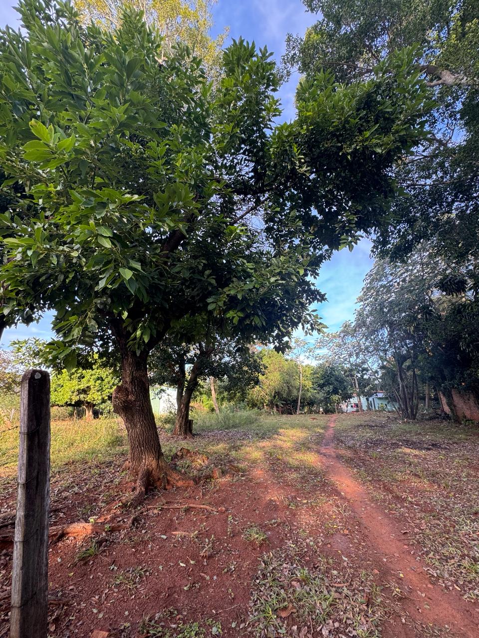 Vendo terreno en Areguá  Zona Gobernación del Departamento Central — foto 2