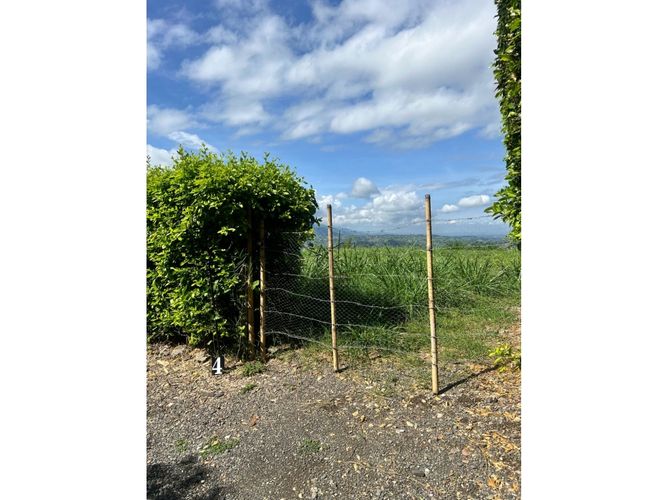 Lote en venta en Cerritos, Pereira, 5700 m² · foto 8 de 15