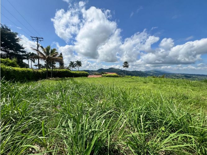 Lote en venta en Cerritos, Pereira, 5700 m² · foto 11 de 15