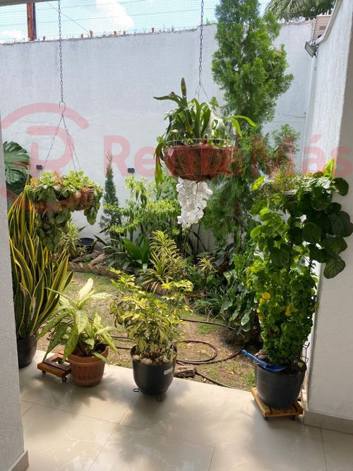Casa de 4 alcobas en arriendo en Santander, Villa del Rosario, 366 m² · foto 10 de 24