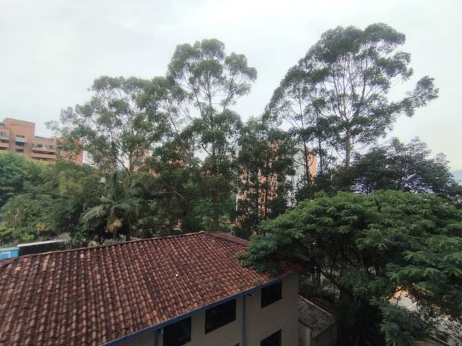 Apartamento de 1 alcoba en arriendo en Los Balsos, Medellín, 97 m² · foto 6 de 13