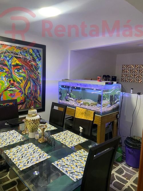 Casa en venta en Pescadero Colpet, Cúcuta · foto 5 de 18