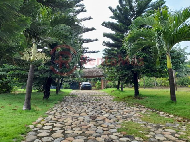 Finca en venta en Juan Frio, Villa del Rosario, 40 m² · foto 3 de 10