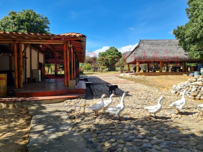 Finca en venta en Juan Frio, Villa del Rosario, 40 m² · foto 6 de 10
