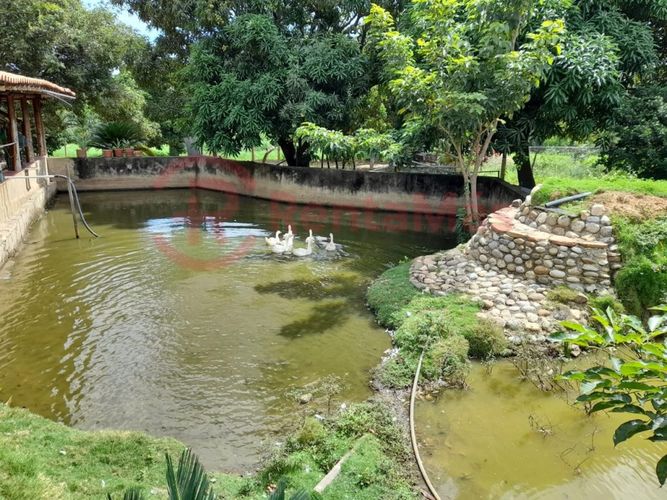 Finca en venta en Juan Frio, Villa del Rosario, 40 m² · foto 7 de 10