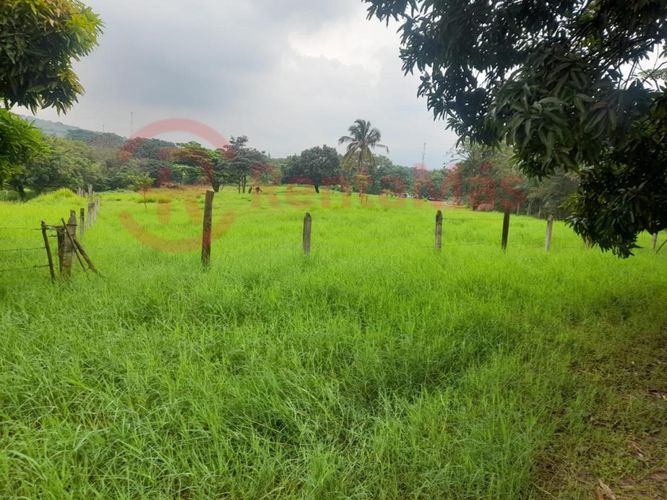 Finca en venta en Juan Frio, Villa del Rosario, 40 m² · foto 9 de 10
