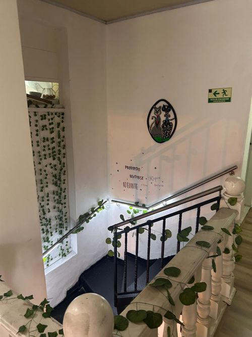 Casa de 3 alcobas en venta en Chapinero Norte, Bogotá, 280 m² · foto 9 de 15