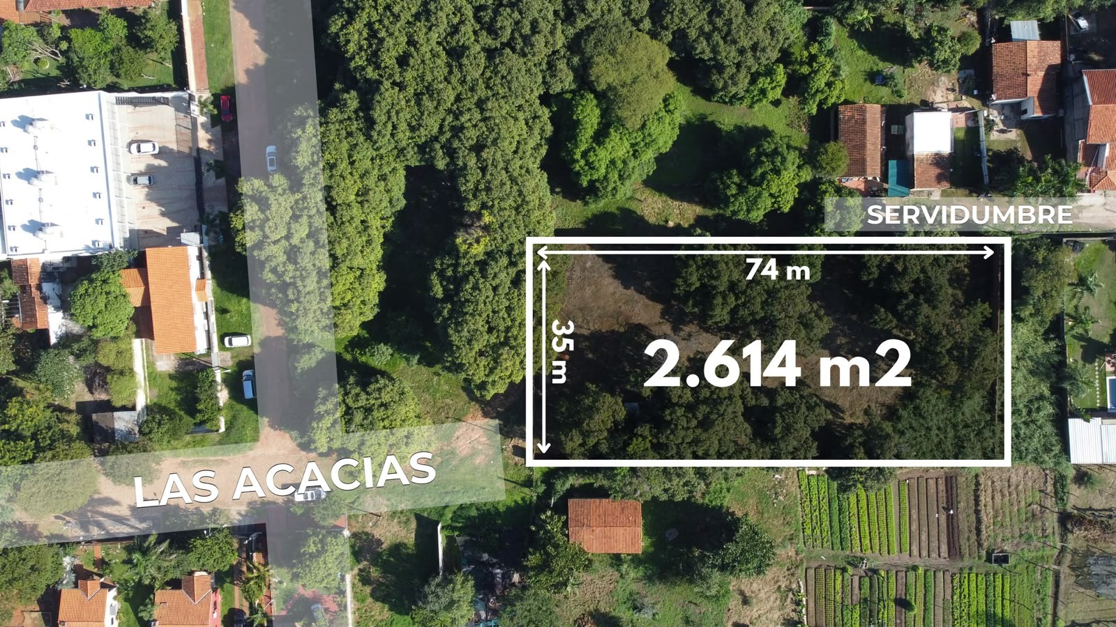 En venta terreno 2.614 m2 amurallado - A minutos de Tape Tuja - Luque. — foto 2