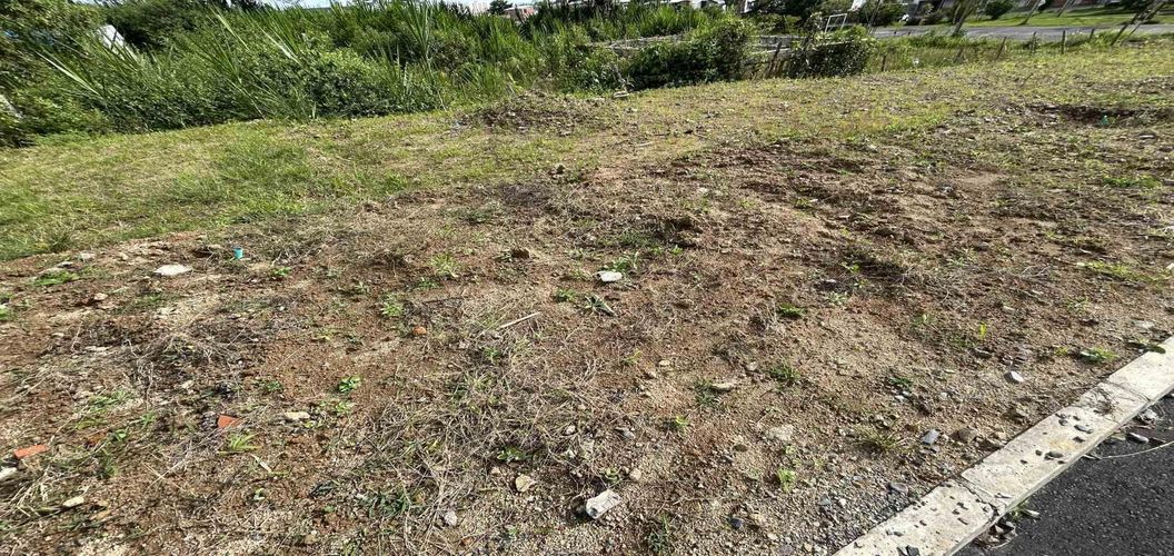 Lote en venta en Colinas Del Bosque, Dosquebradas · foto 7 de 8