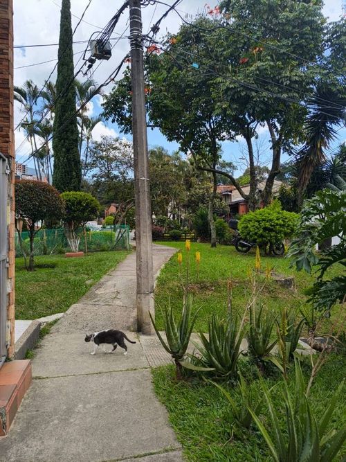 Casa en venta en Samaria Robles Del Sur, Itagüí · foto 15 de 17