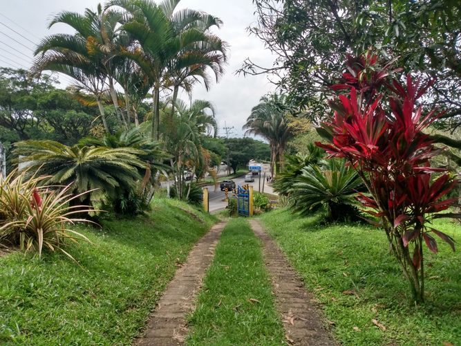 Finca en venta en Cerritos, Pereira, 10700 m² · foto 2 de 15