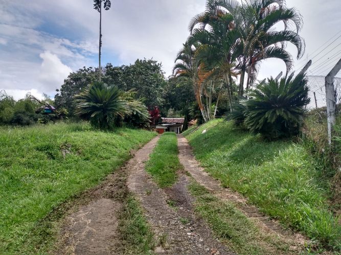 Finca en venta en Cerritos, Pereira, 10700 m² · foto 3 de 15