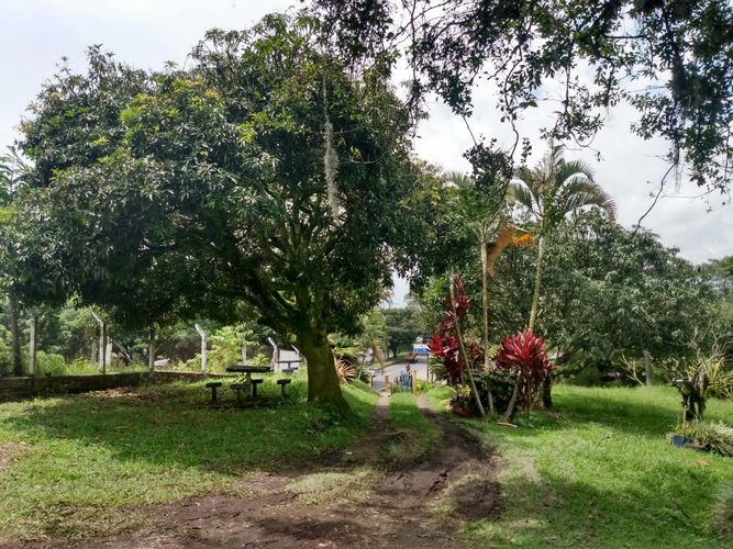 Finca en venta en Cerritos, Pereira, 10700 m² · foto 6 de 15