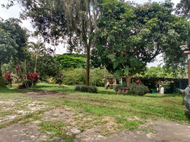 Finca en venta en Cerritos, Pereira, 10700 m² · foto 9 de 15