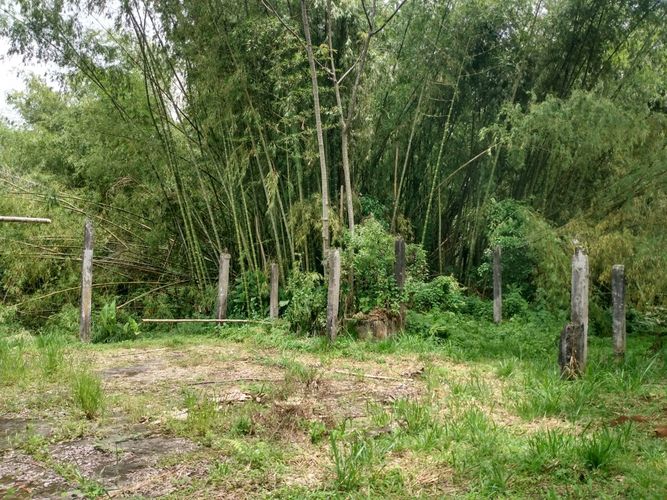 Finca en venta en Cerritos, Pereira, 10700 m² · foto 12 de 15