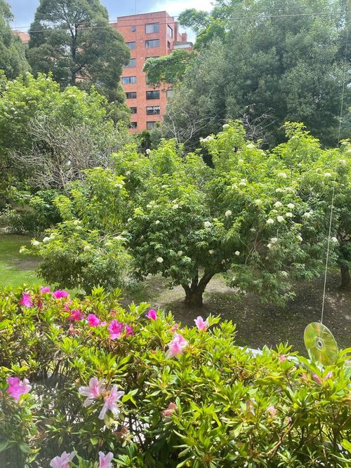 Apartamento de 3 alcobas en venta en La Cabrera, Bogotá, 382 m² · foto 8 de 12