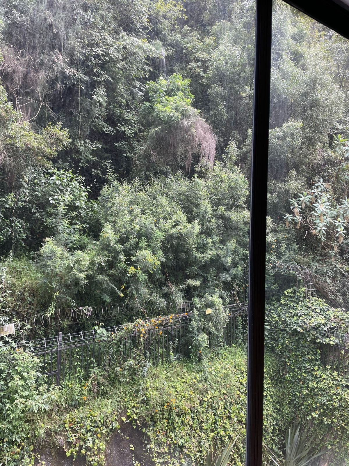 Apartamento en venta en Chicó Alto, Bogotá · foto 22 de 22