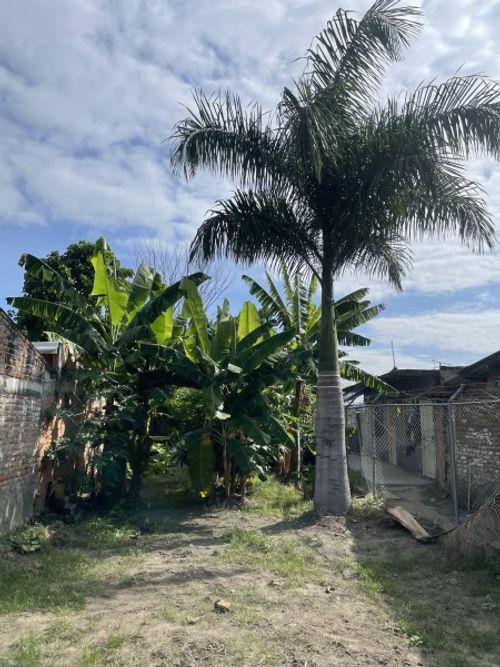 Lote en venta en La Acequia, Palmira · foto 5 de 11