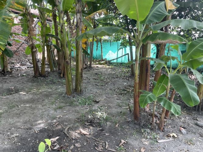 Lote en venta en La Acequia, Palmira · foto 7 de 11