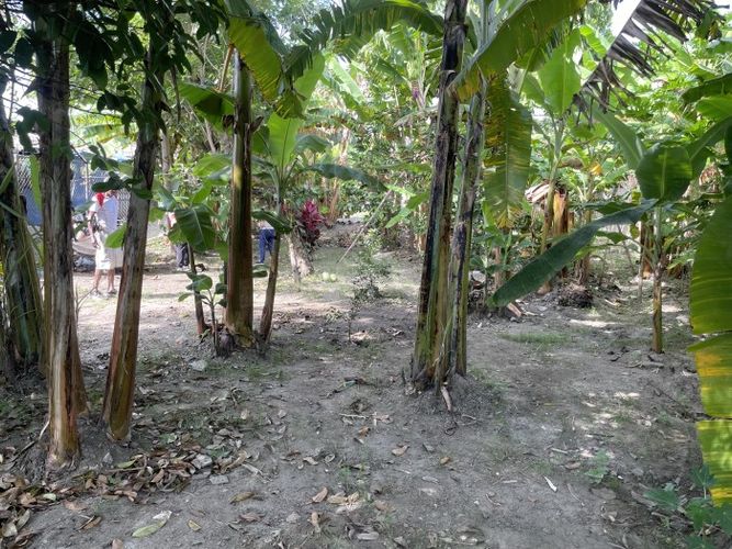 Lote en venta en La Acequia, Palmira · foto 9 de 11