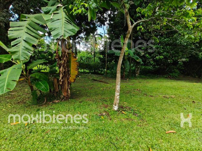 Casa de 4 alcobas en arriendo en Los Almendros, Apartado, 200 m² · foto 4 de 14