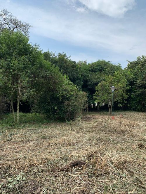 Lote en venta en Pance, Cali, 3053 m² · foto 3 de 17