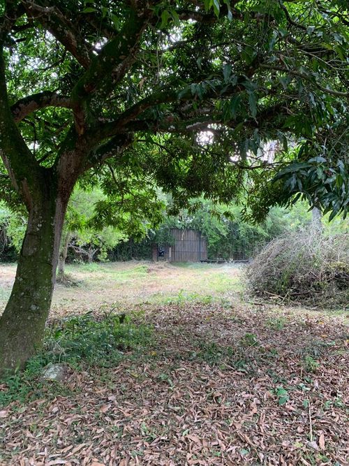 Lote en venta en Pance, Cali, 3053 m² · foto 4 de 17
