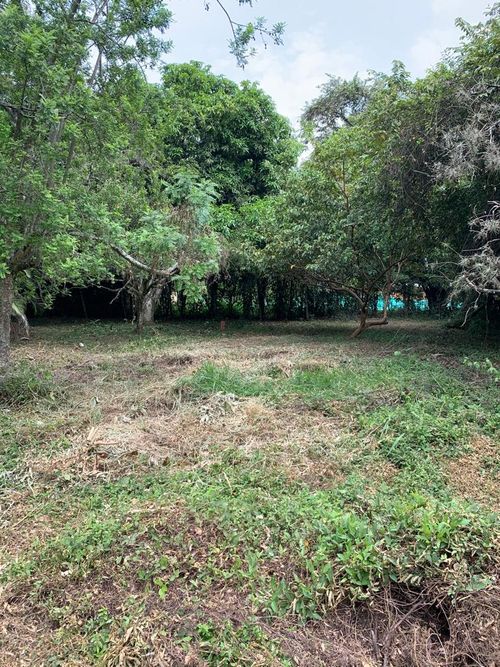 Lote en venta en Pance, Cali, 3053 m² · foto 5 de 17