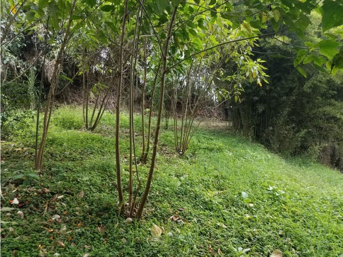 Lote en venta en La Tablaza, La Estrella, 779 m² · foto 11 de 11
