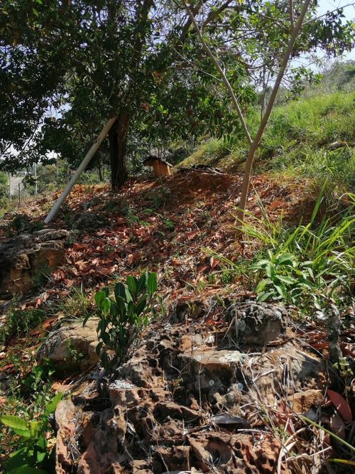 Lote en venta en Ruitoque, Girón, 2500 m² · foto 4 de 13