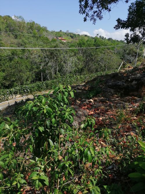 Lote en venta en Ruitoque, Girón, 2500 m² · foto 5 de 13