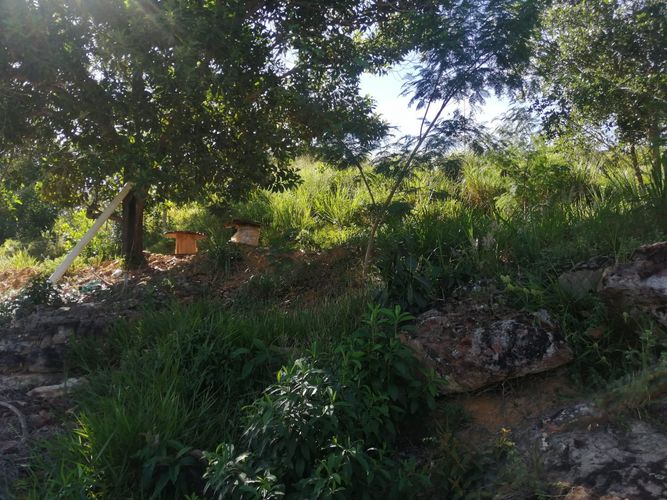 Lote en venta en Ruitoque, Girón, 2500 m² · foto 7 de 13