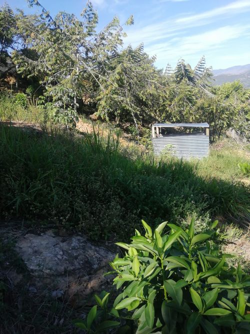 Lote en venta en Ruitoque, Girón, 2500 m² · foto 3 de 13