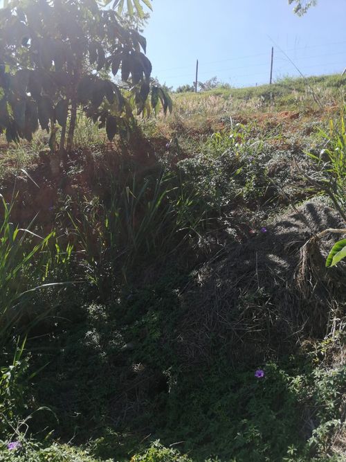 Lote en venta en Ruitoque, Girón, 2500 m² · foto 12 de 13
