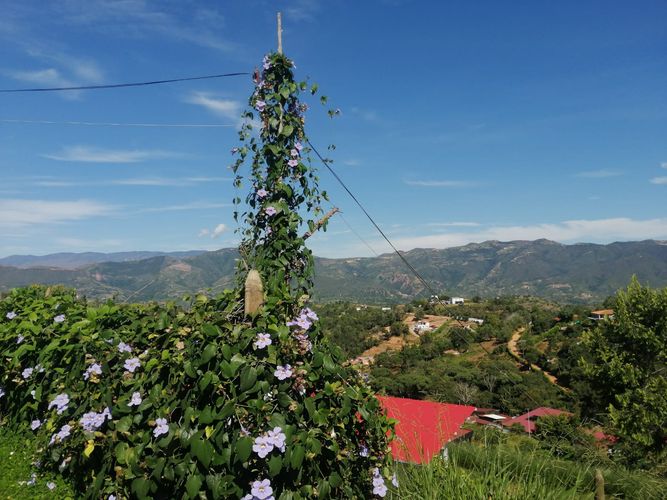 Lote en venta en Ruitoque, Girón, 2500 m² · foto 13 de 13
