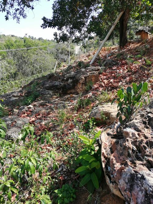 Lote en venta en Ruitoque, Girón, 2500 m² · foto 6 de 13