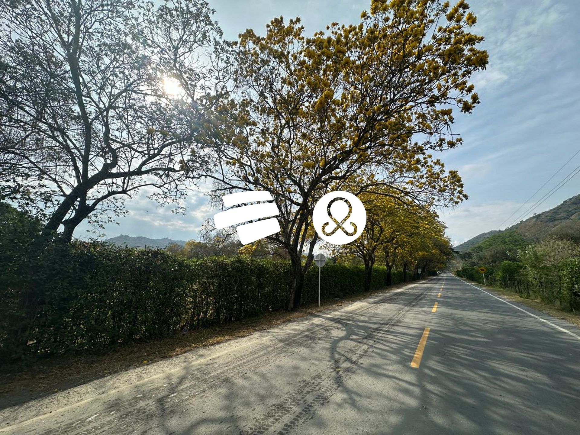 Land in El espinal for Sale - 2