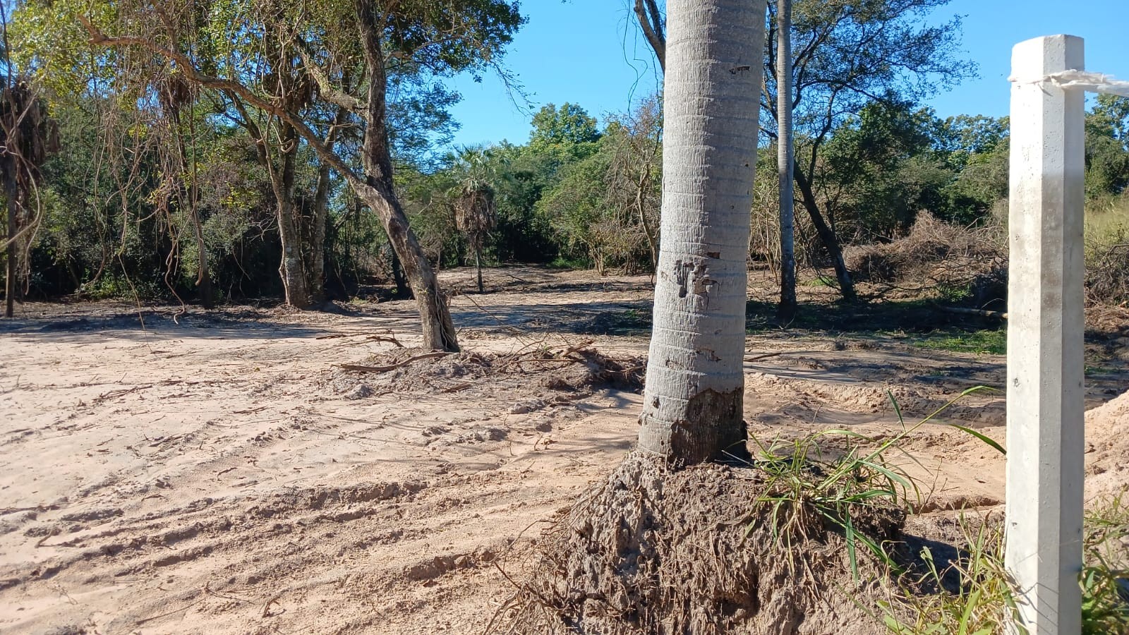 Terreno Estratégico de Ensueño en Mariano Roque Alonso - Surubii: ¡Tu Futuro Comienza Aquí! — foto 2