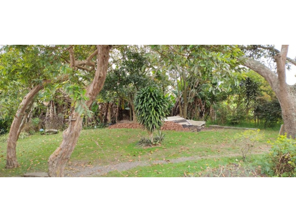 Land in San Antonio de Pereira (600 m²) for Sale - 3