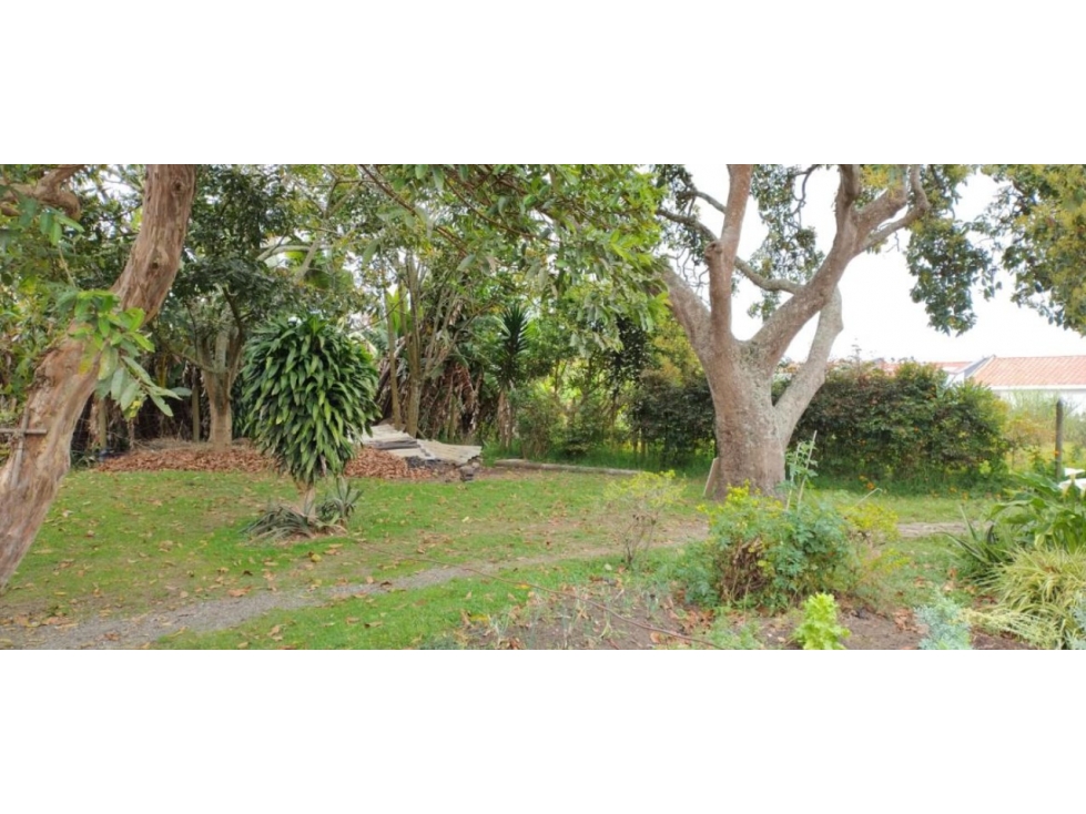 Land in San Antonio de Pereira (600 m²) for Sale - 4
