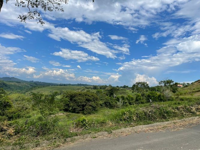 Lote en venta en Cerritos, Pereira, 5000 m² · foto 3 de 8