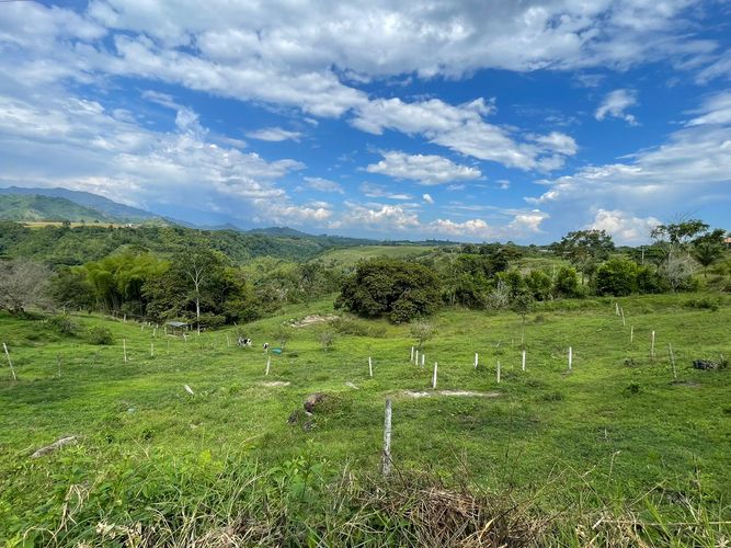 Lote en venta en Cerritos, Pereira, 5000 m² · foto 5 de 8