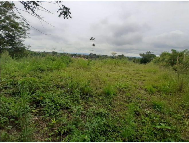 Lote en venta en Morelia, Pereira, 1621 m² · foto 3 de 3